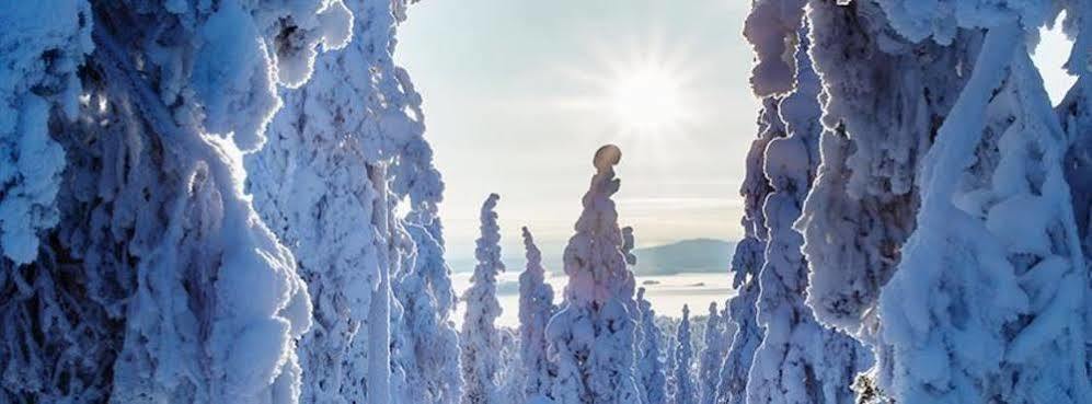 Suomu Chalets Suomutunturi Екстер'єр фото